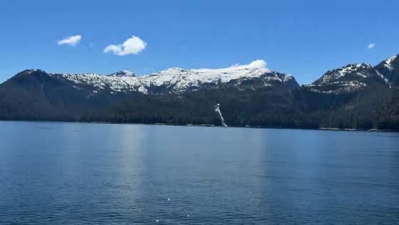Clear skies and calm waters surround Mist Cove in Tongass National Forest, Alaska, USA