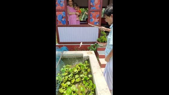 Man caught fish in pond using stick and string in Kolkata, India