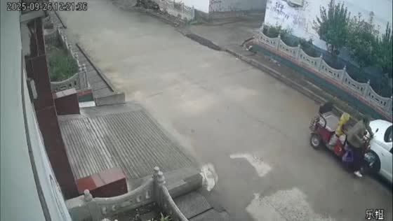 Elderly woman crashes after losing control of e-bike in Henan, China