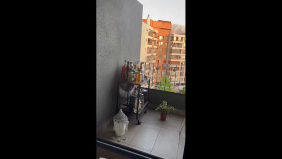 Wine bottles shake during earthquake in Ñuñoa, Chile
