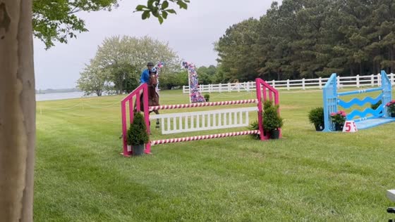 Rider falls after horse hits obstacle during jump in Easton, Maryland, USA