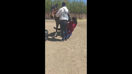 Horse mounting mishap caught on video in Inner Mongolia, China