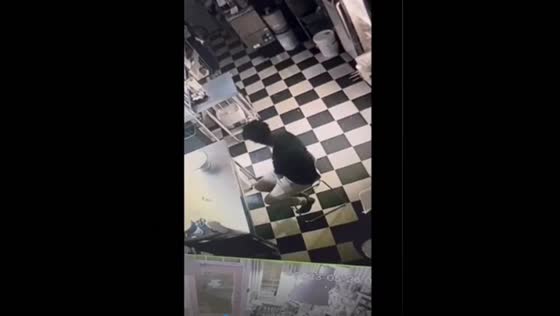 The curious Canadian caper: burglar breaks in, cleans up, and steals cupcakes