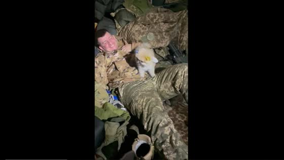 Ukrainian soldier surprises his girlfriend with an adorable puppy