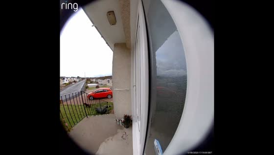 Dog pulls owner down stairs during walk in Carnoustie, UK