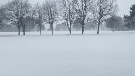 Winter's fury: snowstorm blankets Randers, Denmark in 1-meter high drifts