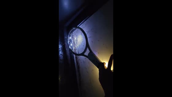 Jiangsu resident uses electric swatter to combat insect invasion