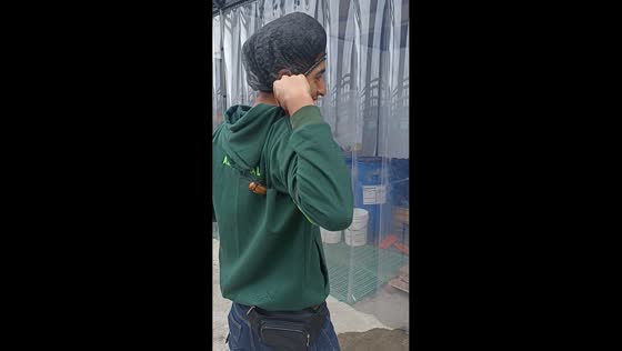 Man panics over beetle on his back in Bogotá, Colombia