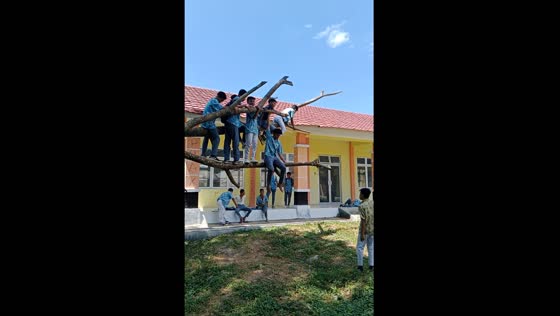 Students have fun on fallen tree in Gorontalo, Indonesia