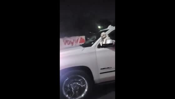 Dog seen hanging on car side mirror while driving in Ciudad Acuña, Mexico