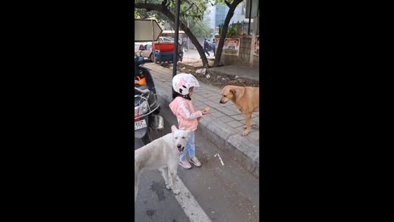 Little girl demonstrates kindness to street dogs in Bengaluru, India