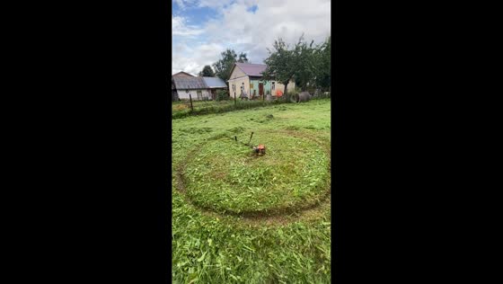 Trimmer mishap turns unexpectedly playful in Borovsk, Russia