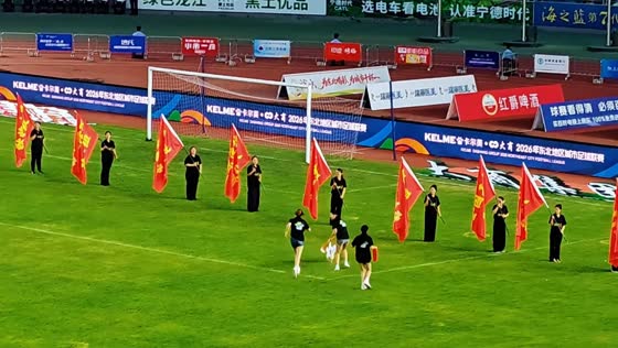 Escaping goose steals the show at football league opening in Heilongjiang, China