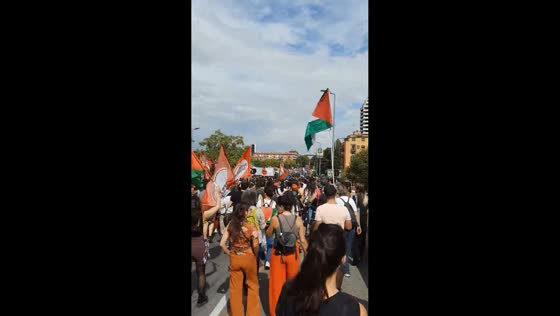 Pro-Palestinian protest during general strike in Bologna, Italy