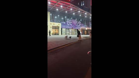 Woman quarrels with dogs in Hunan, China