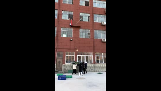 Cat rescued from high ledge in Heilongjiang, China