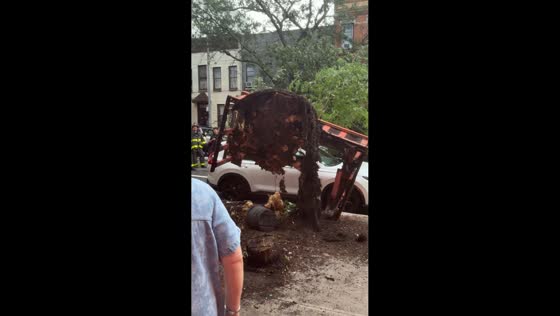 Fallen trees damage vehicles after storm in Bushwick, Brooklyn, New York, USA