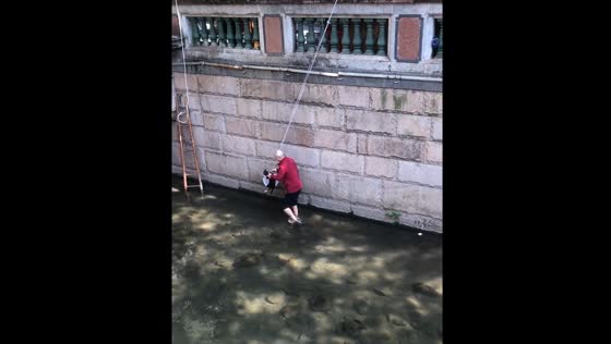 Elderly man saves cat from river in Guangzhou