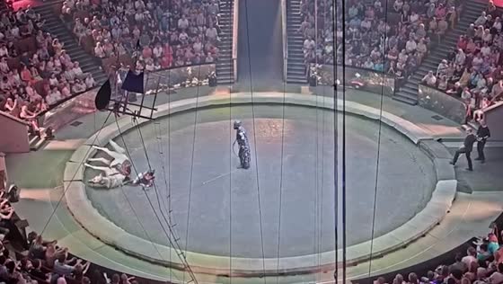 Daughter of trainer Askold Zapashny suffers foot fractures in circus horse act