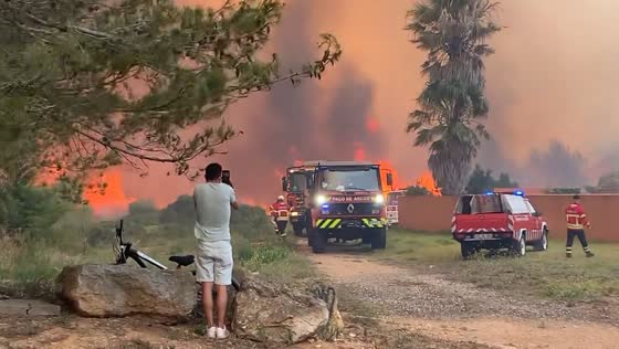 Firefighters battle massive forest fire in Alcabideche, Portugal