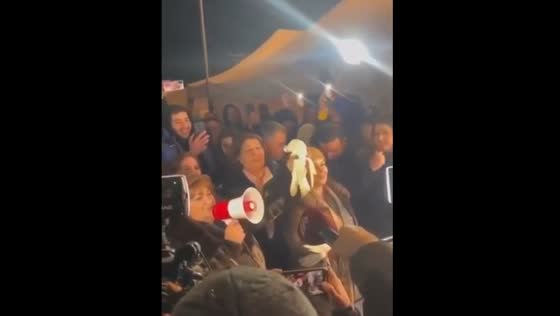 Azerbaijani ecologist releases dead dove in support of peace