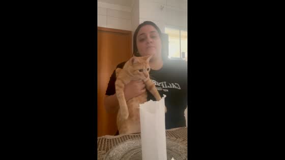 Cat watches ashes float after paper burns in Sarandi, Brazil