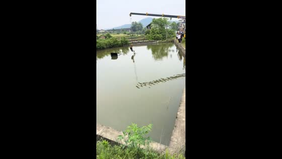 Crane rescue goes wrong as man briefly dunked in Hunan, China