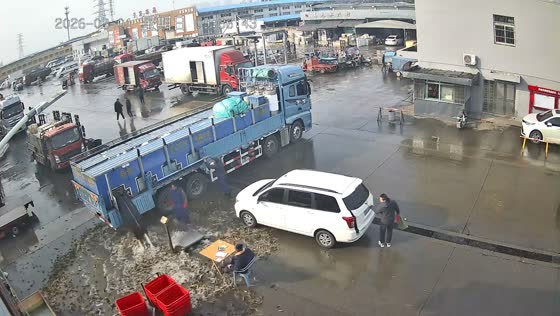 Truck unloading mishap spills fish onto ground in Jiangsu, China