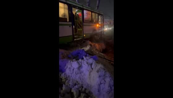 Bus crashes into a tree at full speed in Amur Oblast, Russia