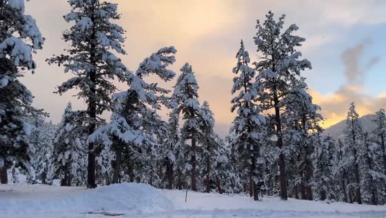 Snow-covered landscape transforms Mount Charleston, Nevada, USA