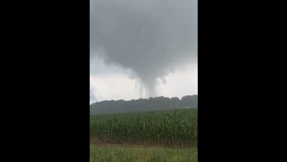 Tornado spotted moving through cornfield in Omar, Delaware, USA