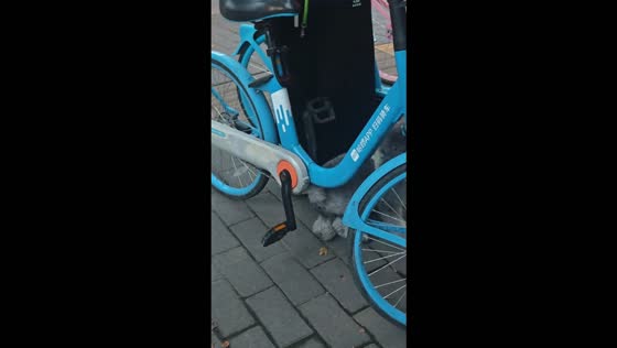 Playful dog repeatedly jumps over bicycle frame in response to its owner in Shaanxi, China