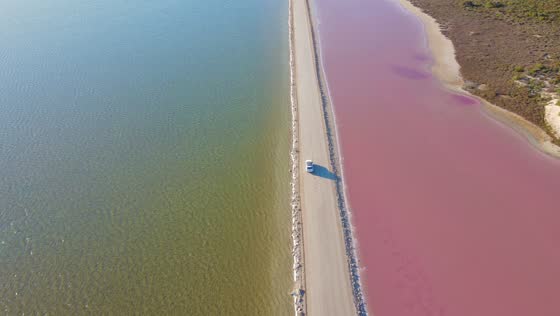 Pink Lake magic: nature's stunning transformation at Lake MacDonnell