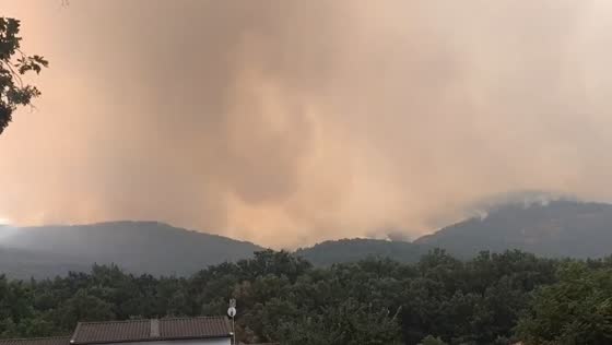 Jarilla wildfire blankets sky in massive smoke in Hervás, Extremadura
