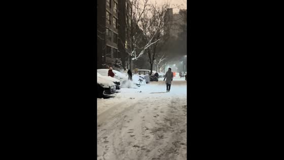 Energetic dog plays in snow in Henan, China