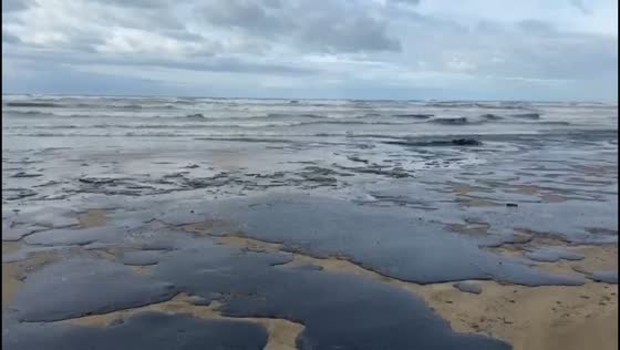 Oil spill reaches and covers coast in Anapa, Krasnodar, Russia