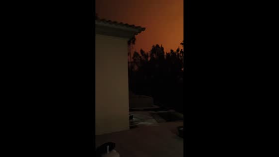 Wildfire lights up night sky in Águeda, Portugal