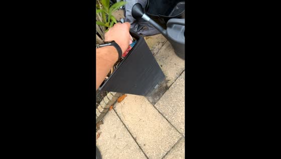 Dog finds hidden money during backyard search game in Houten, Netherlands