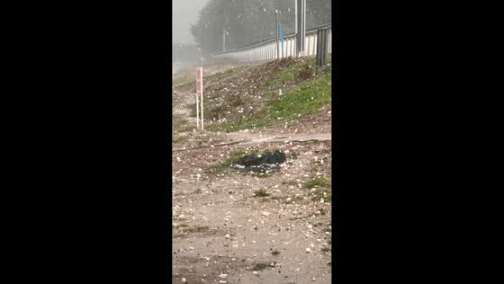 Severe hailstorm pounds riverside area in Hebei, China