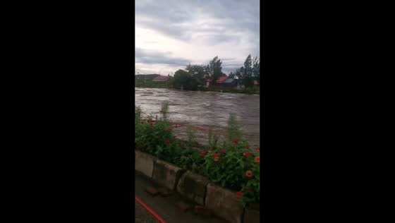 Fast-moving muddy floodwaters flow through residential area in Heilongjiang, China