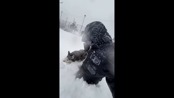 Man and his dog struggle to walk through deep snow in Batumi, Georgia