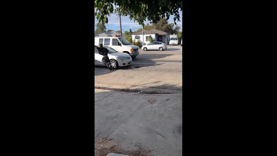 Close call chaos: skateboarder narrowly dodges car in heart-stopping sidewalk stunt!