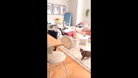 Queens, NY resident captures shocking earthquake moment