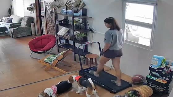 Dog takes over treadmill during home workout in Batangas, Philippines