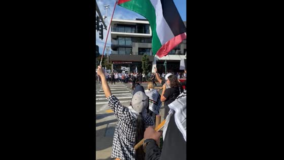 Pro-Palestine protesters rally in Kirkland amid Gaza attacks