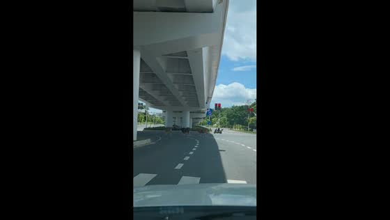 Unexpected cattle encounter on the road in Ganzhou, Jiangxi, China