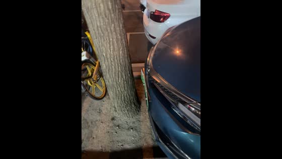 Car parked in tight space between trees in Beijing, China