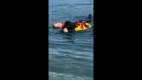 Trained water rescue dog retrieves unconscious person in simulated test
