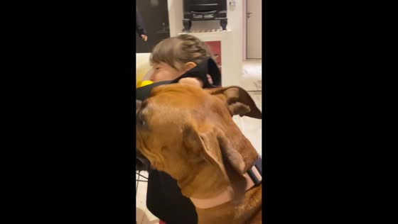 Toddler shares playful moment with boxer dog in Buenos Aires, Argentina