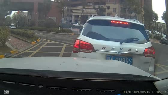 Car reverses and collides in Hubei Province